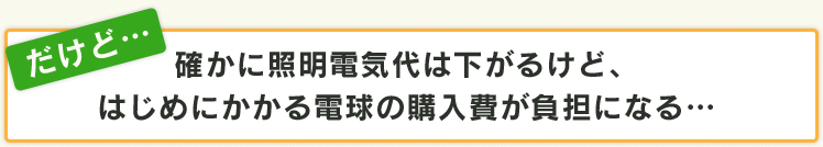だけど確かに照明電気代は下がるけど、はじめにかかる電球の購入費が負担になる…