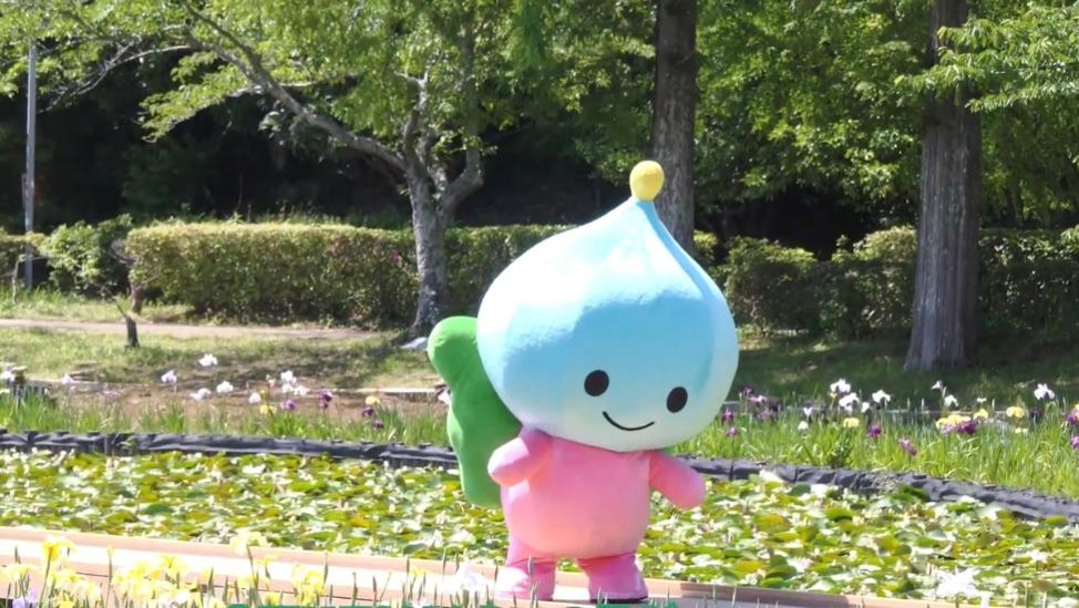 サニエルが花菖蒲を楽しんでいる様子