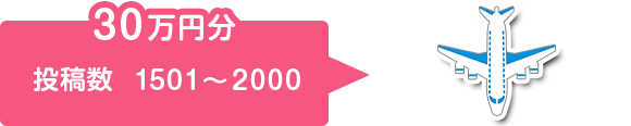 30万円分 投稿数1501〜2000