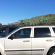 車の屋根で木を運ぶ