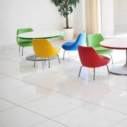 汚れとお掃除の百科事典 床材 石材系 サニクリーン