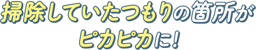 掃除していたつもりの箇所がピカピカに！