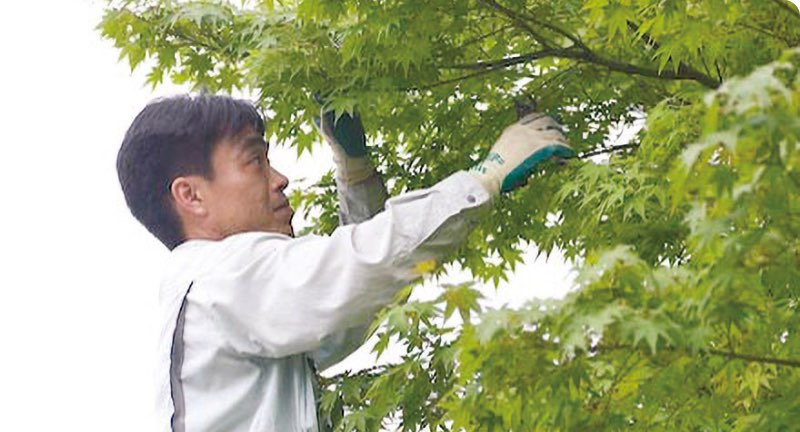 庭木の剪定・草刈りサービス