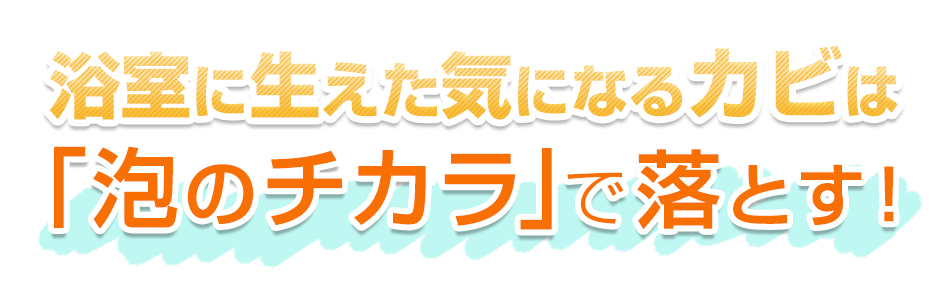 かびとり剤 ご家庭のおそうじ用品とプロのおそうじサービス サニクリーン