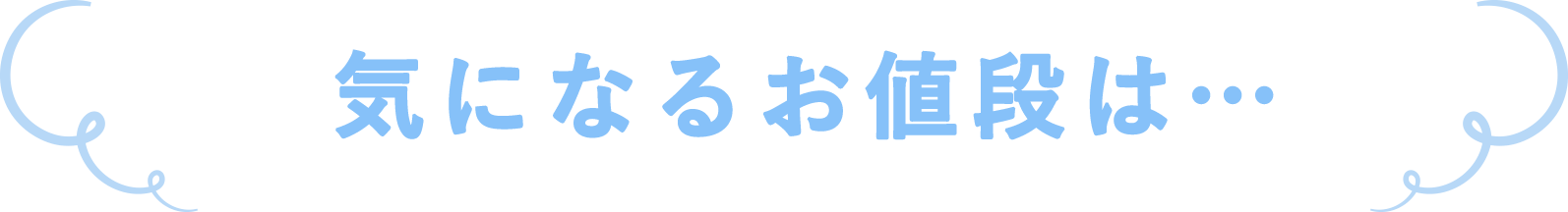 気になるお値段は・・・