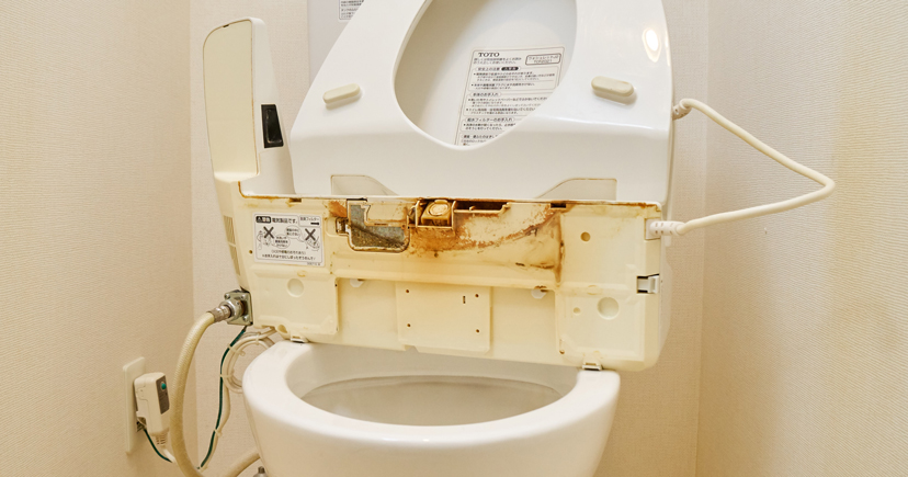 尿路感染症（UTI）