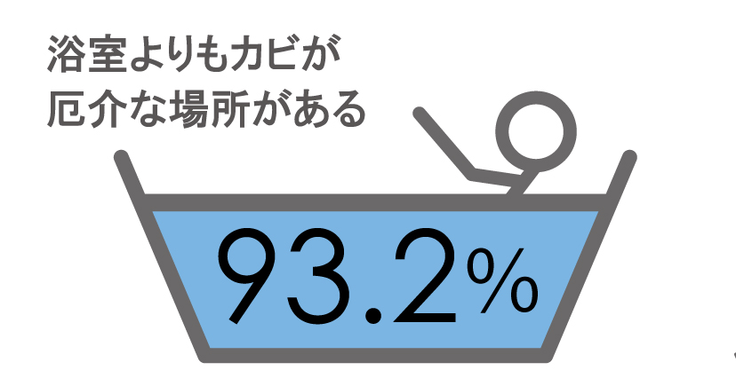 浴室以上にカビが気になる場所はありますか