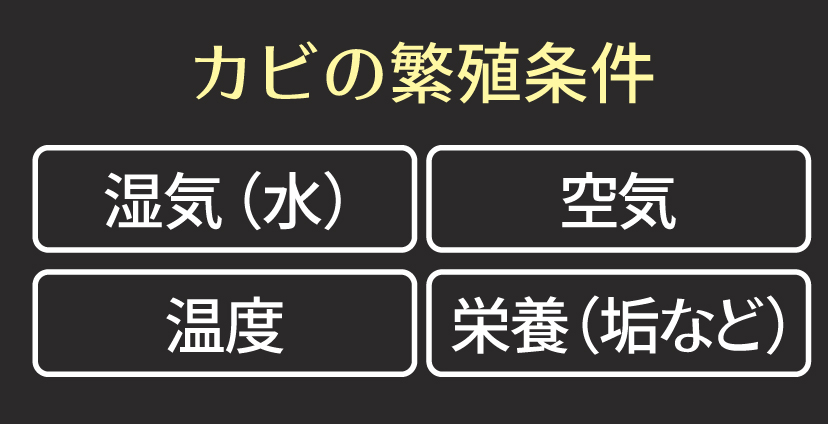 カビの繁殖条件