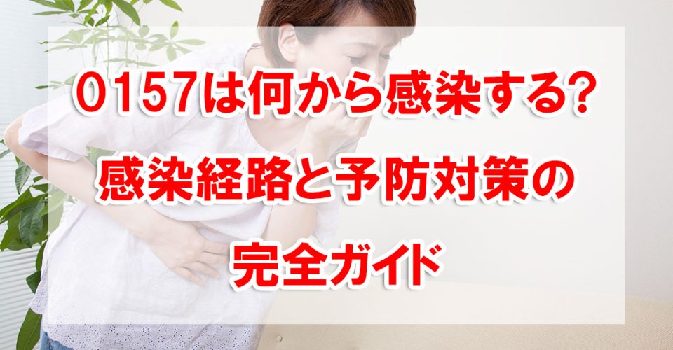 O157は何から感染する?感染経路と予防対策の完全ガイド