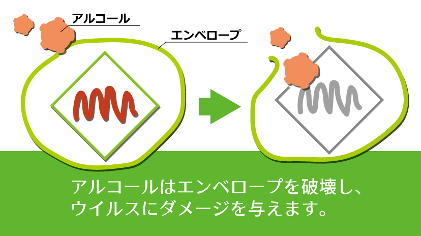 エンベロープウイルス