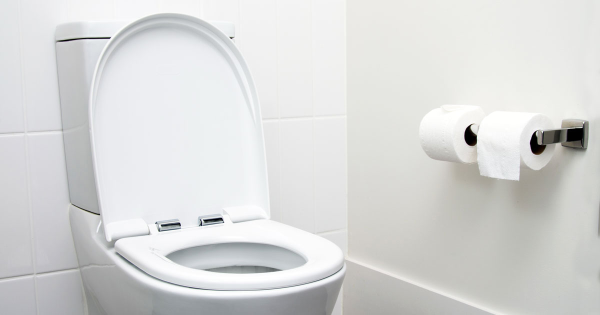 トイレのフタをしてノロウイルスの感染を防ぐ 家事ネタ