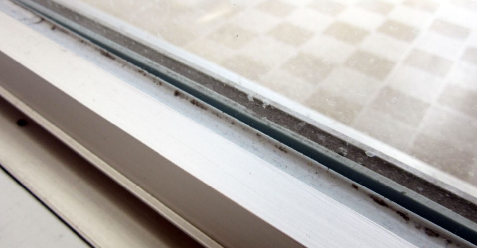 窓枠のカビの掃除方法！原因&対策やおすすめアイテムも