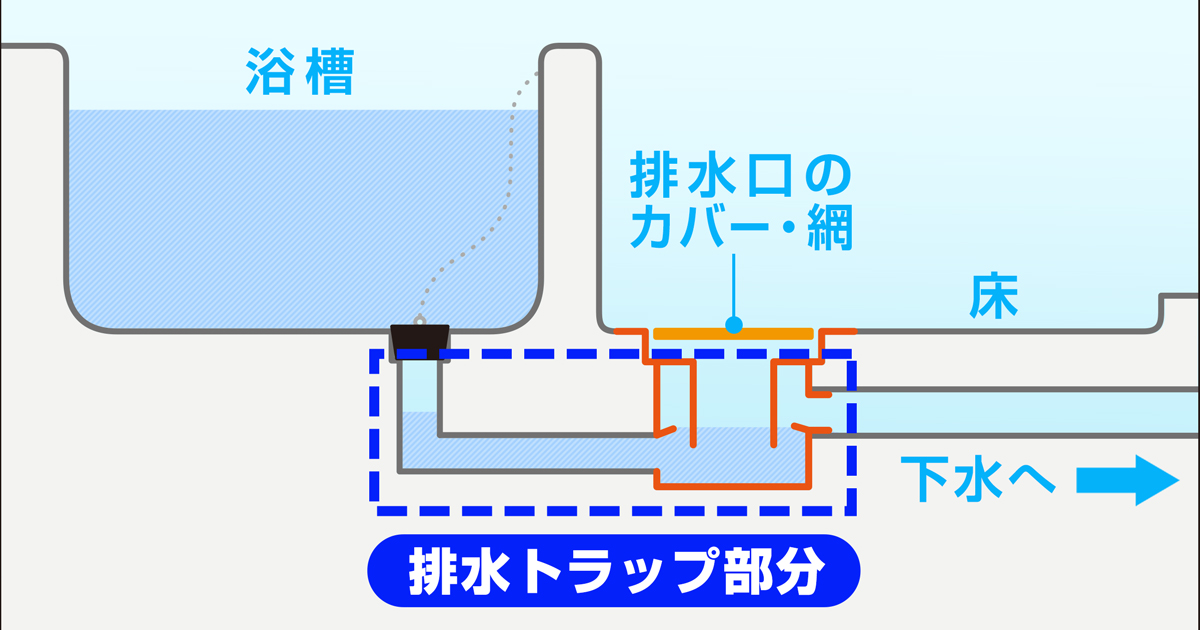 浴室の排水トラップの構造イラスト