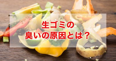 生ゴミの臭いの原因と対策！「たったひとつの簡単な習慣」を紹介