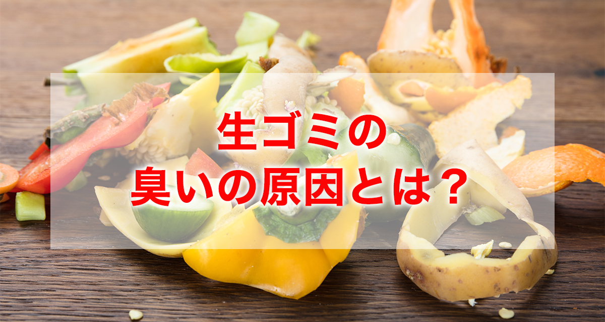 生ゴミの臭いの原因と対策！「たったひとつの簡単な習慣」を紹介