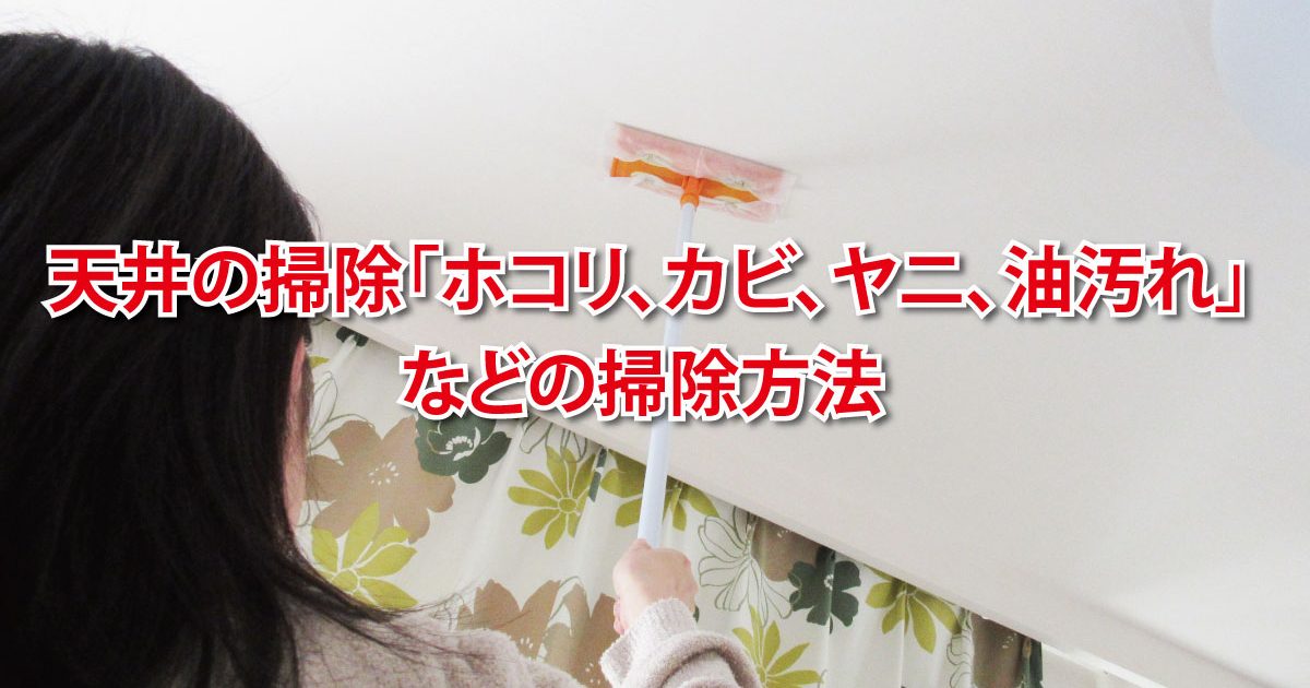 天井の掃除「ホコリ、カビ、ヤニ、油汚れ」などの掃除方法 | 家事ネタ