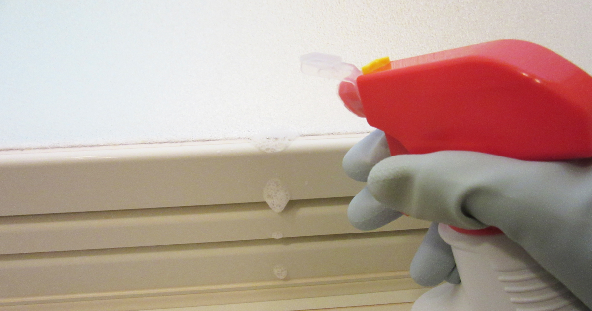 カビキラーをお風呂のドアに吹きかけている