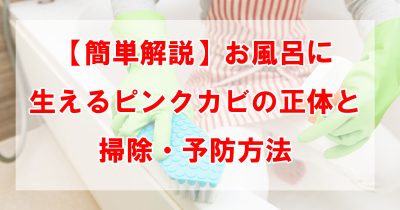 【簡単解説】お風呂に生えるピンクカビの正体と掃除・予防方法