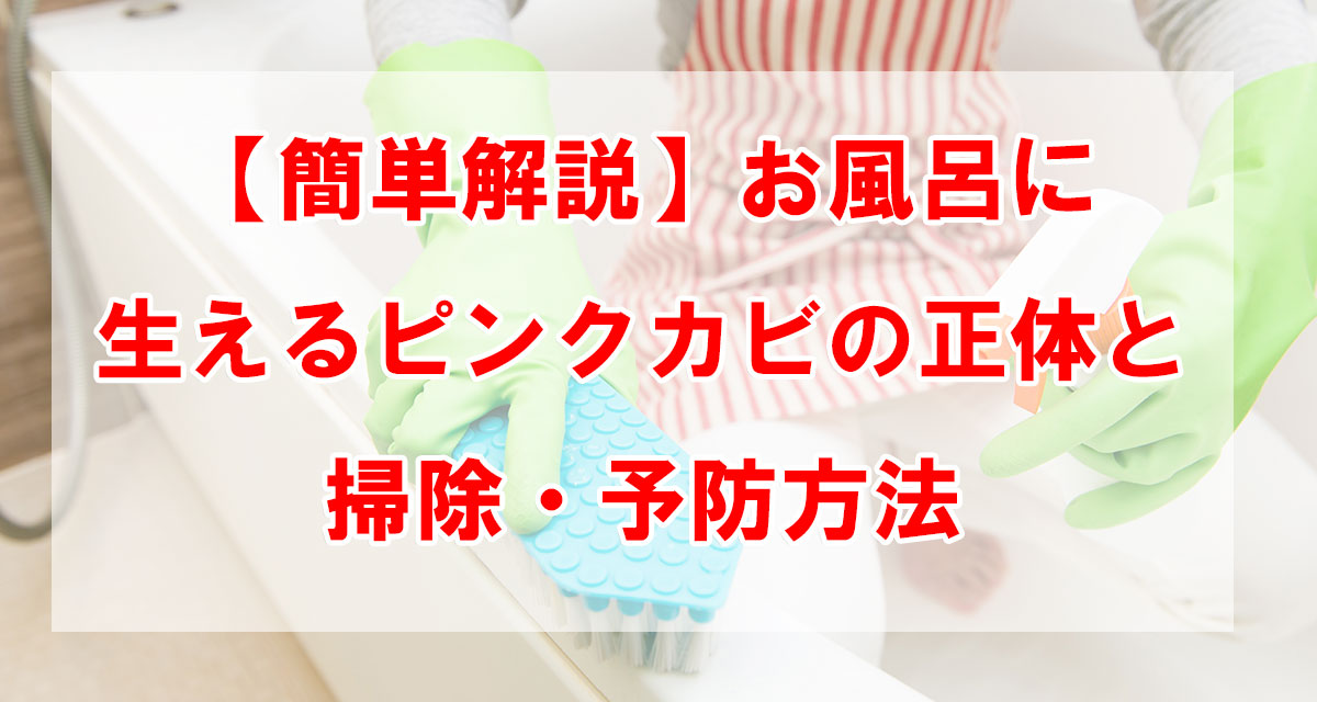 【簡単解説】お風呂に生えるピンクカビの正体と掃除・予防方法