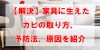 【解決】家具に生えたカビの取り方、予防法、原因を紹介