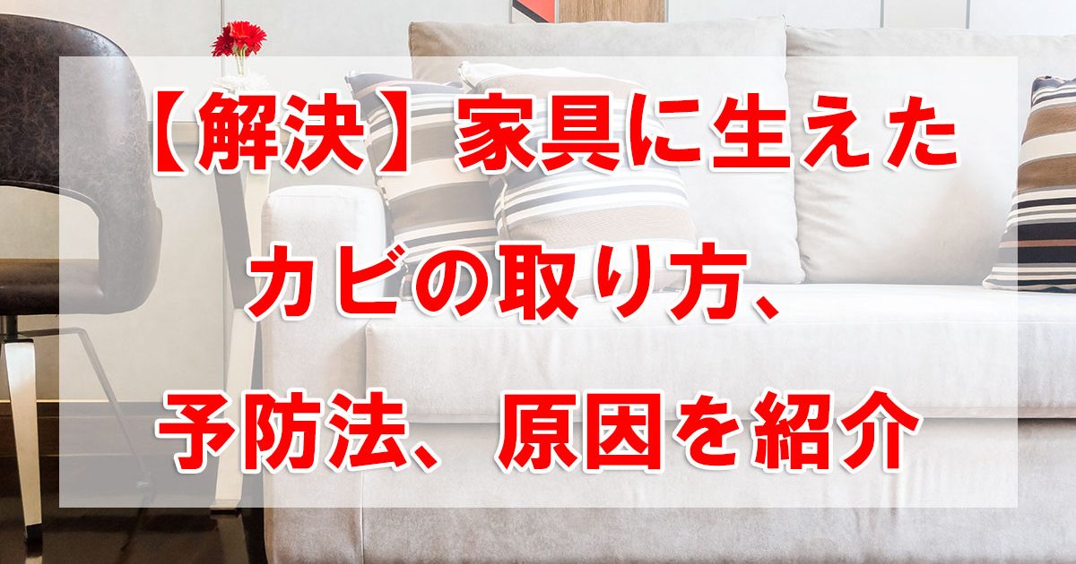 【解決】家具に生えたカビの取り方、予防法、原因を紹介 | 家事ネタ