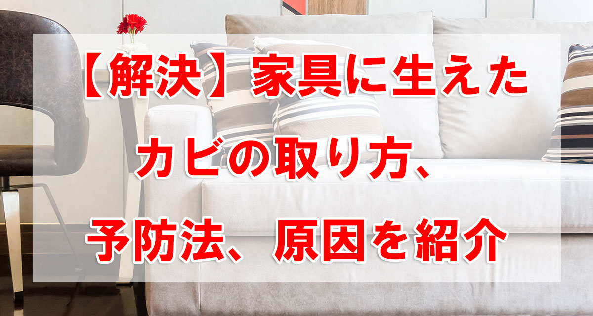 【解決】家具に生えたカビの取り方、予防法、原因を紹介