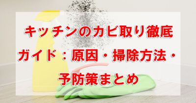 キッチンのカビ取り徹底ガイド：原因・掃除方法・予防策まとめ