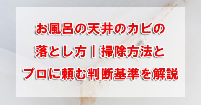 お風呂の天井のカビの落とし方｜掃除方法とプロに頼む判断基準を解説
