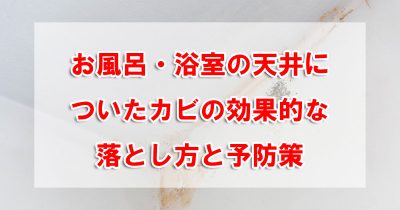 お風呂・浴室の天井についたカビの効果的な落とし方と予防策