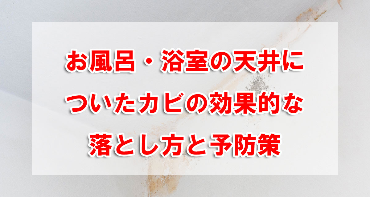 お風呂・浴室の天井についたカビの効果的な落とし方と予防策