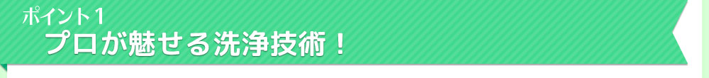 ポイント1　プロが魅せる洗浄技術！