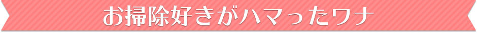 お掃除好きがハマったワナ