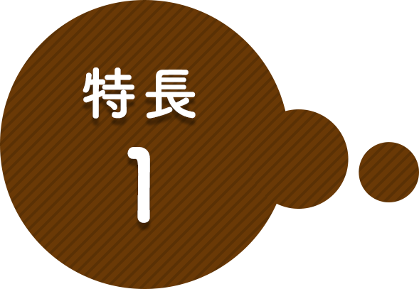 特長その1