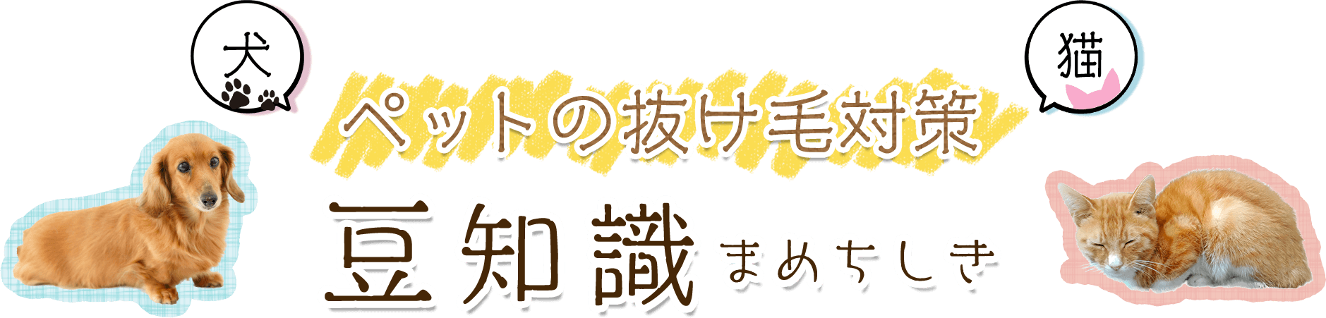 ペットの抜け毛対策　豆知識