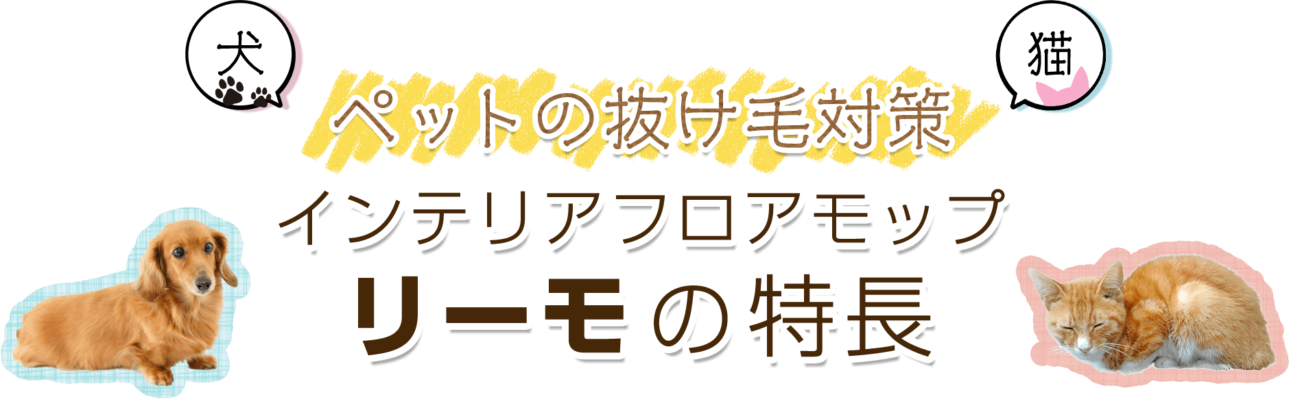 インテリアフロアマップリーモの特長