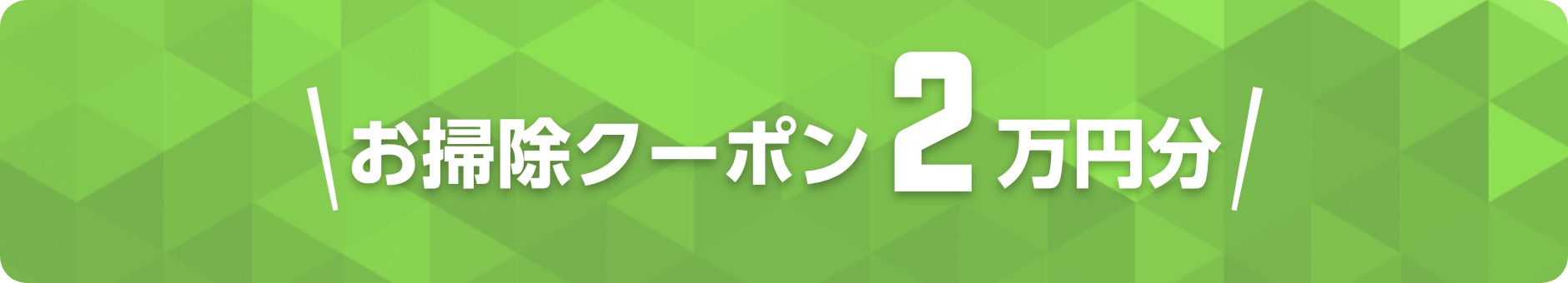 お掃除クーポン2万円分