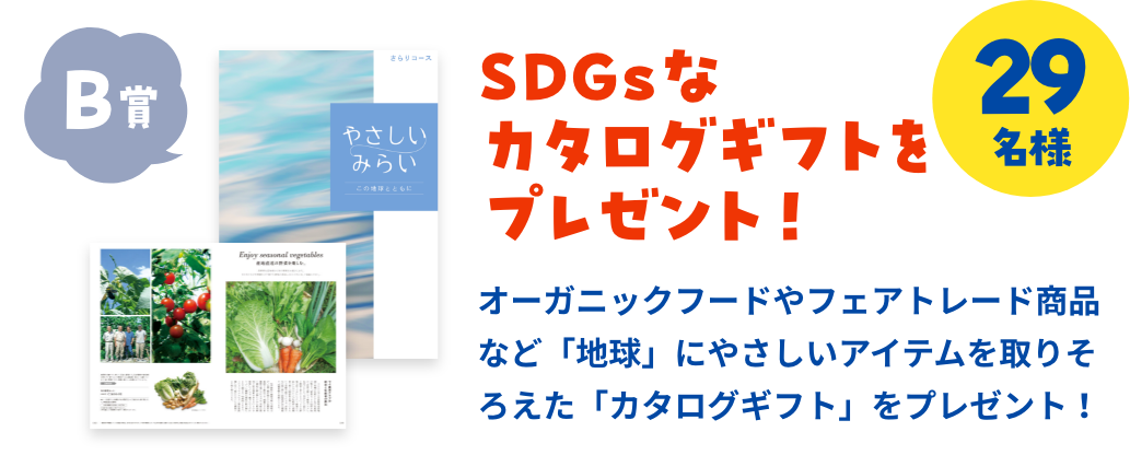 B賞：SDGsなカタログギフトをプレゼント！