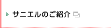 サニエルの紹介