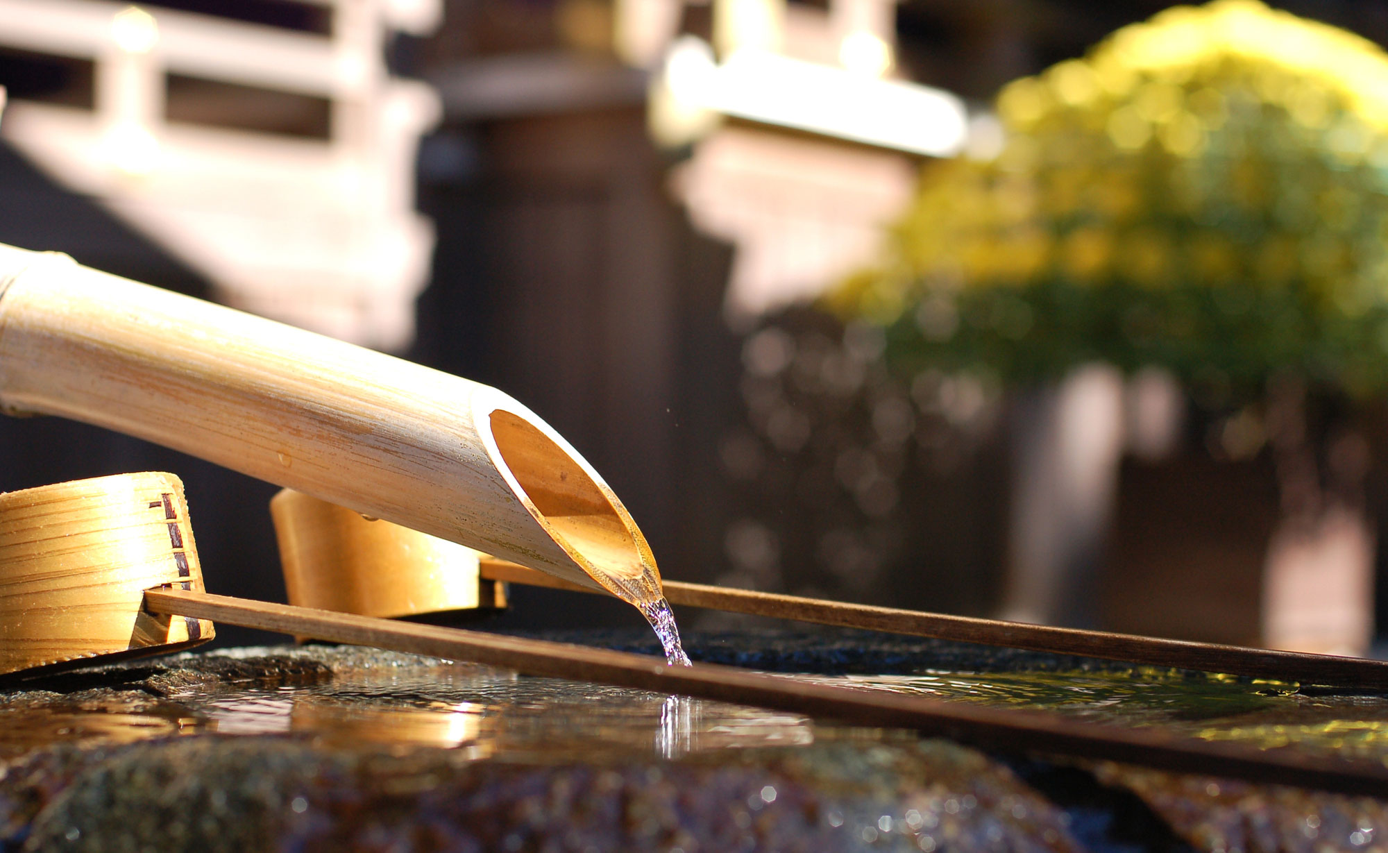 鹿威しの仕組みや魅力 サニクリーン 鹿威しの仕組みや魅力 サニクリーン