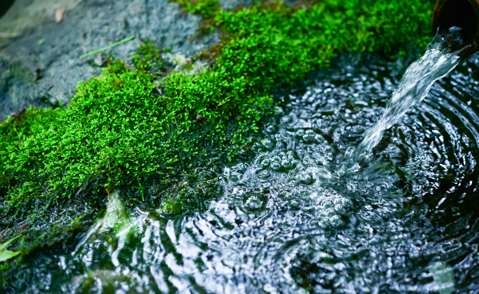 湧き水をそのまま飲んではいけない サニクリーンのウォーターサーバー 宅配水 ディスティオ 湧き水をそのまま飲んではいけない サニクリーンのウォーターサーバー 宅配水 ディスティオ