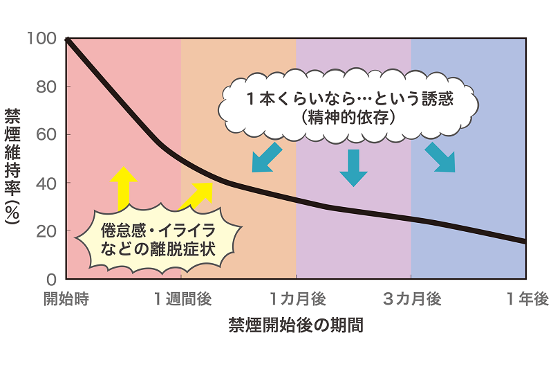 禁煙開始と維持率に関する図