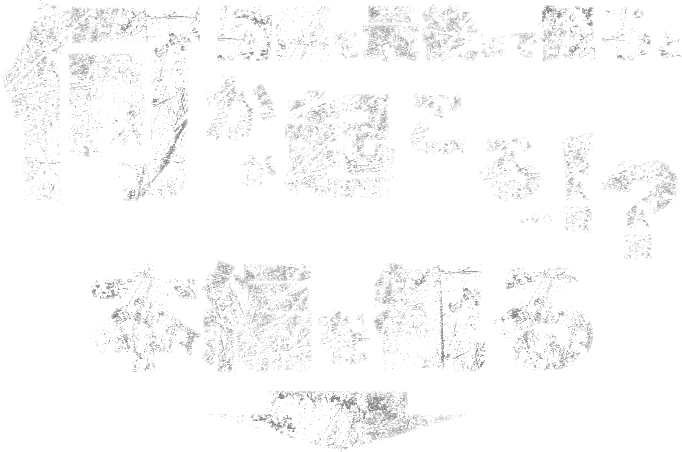 動画を最後まで観ると何かが起こる…！？